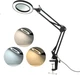 Magnifying Lamp